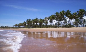 Brésil - Salvador - Costa Dos Coqueiros