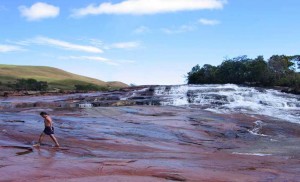 Venezuela - Grande - Savane