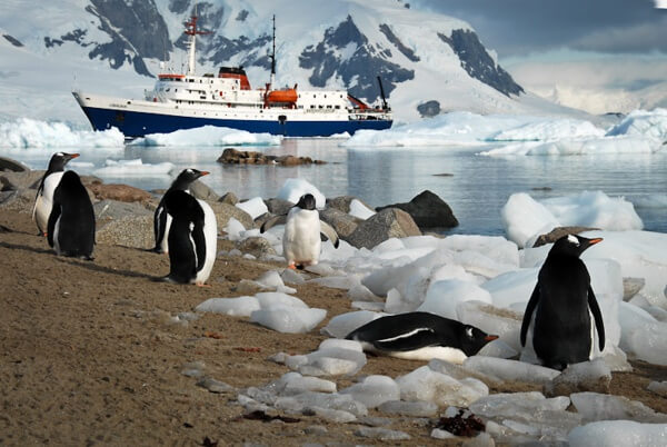 Antarctique - ┬® Facundo Santana DSC_0008
