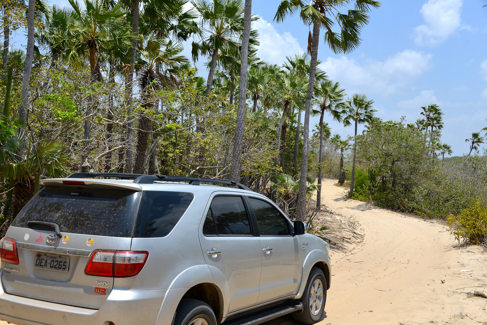 4x4 gris roulant sur piste de sable bordée de palmiers près d'Atins, Brésil