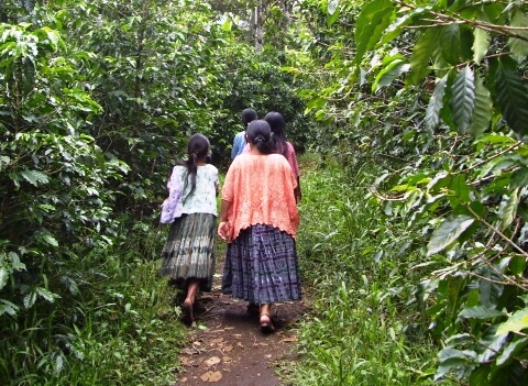 Femmes en vêtements traditionnels marchant sur un chemin forestier près de Cobán, Guatemala