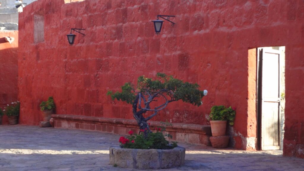 Cour du monastère Santa Catalina avec mur rouge, lanternes et arbre fleuri, Arequipa, Pérou