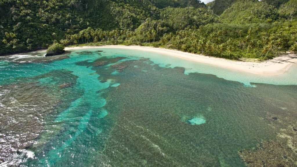 Vue aérienne d'une baie turquoise avec récifs coralliens, plage bordée de cocotiers, péninsule de Samana