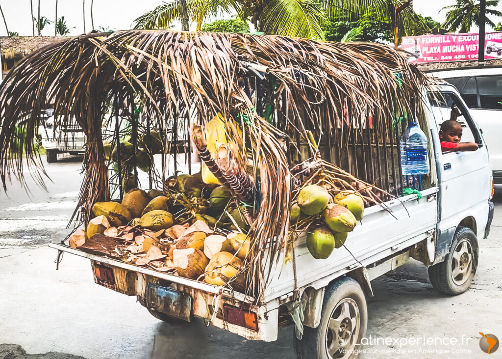 Camionnette chargée de noix de coco et palmes, enfant à la fenêtre, Samana, République Dominicaine