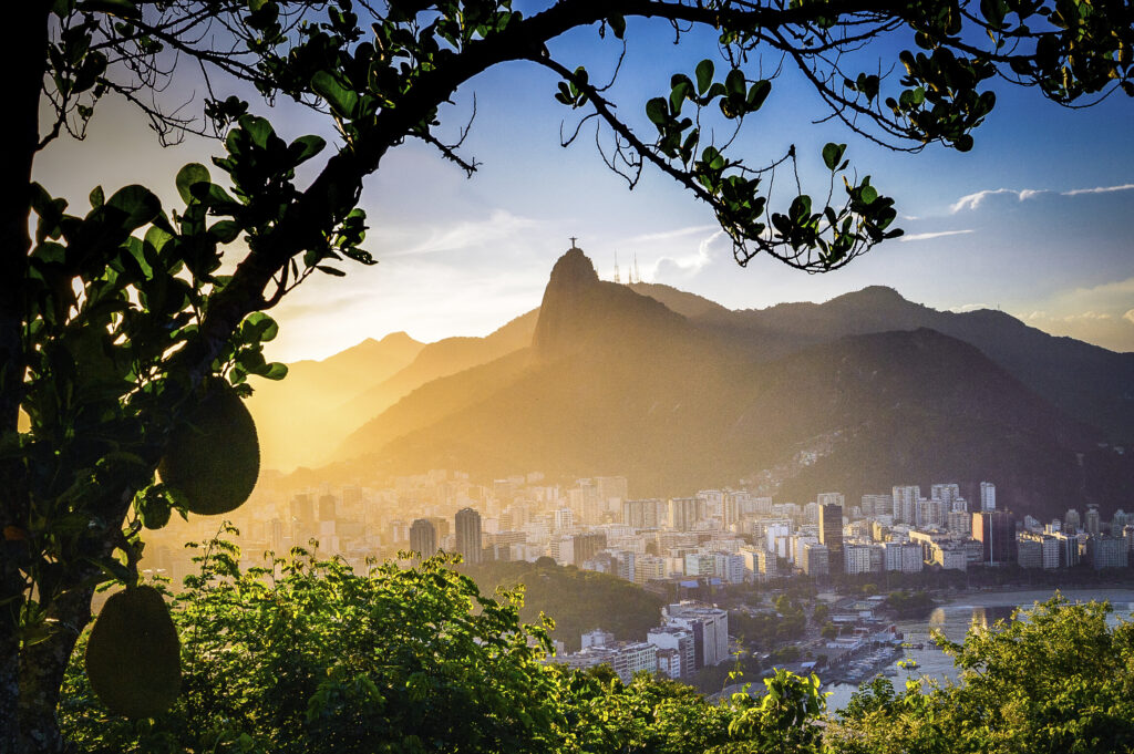 Vue de Rio de Janeiro et du Corcovado depuis un jaquier, au coucher du soleil, Brésil