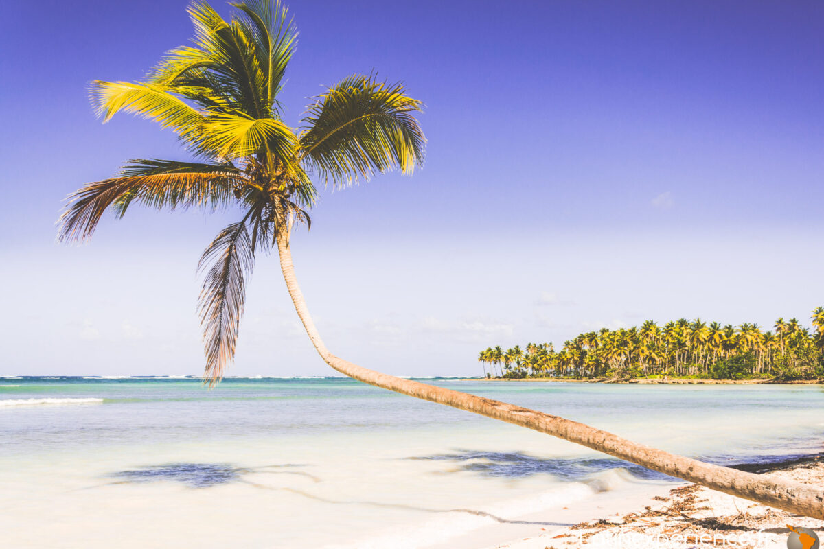 Circuit République Dominicaine – Péninsule de Samana et Cascade El Limon – Latinexperience
