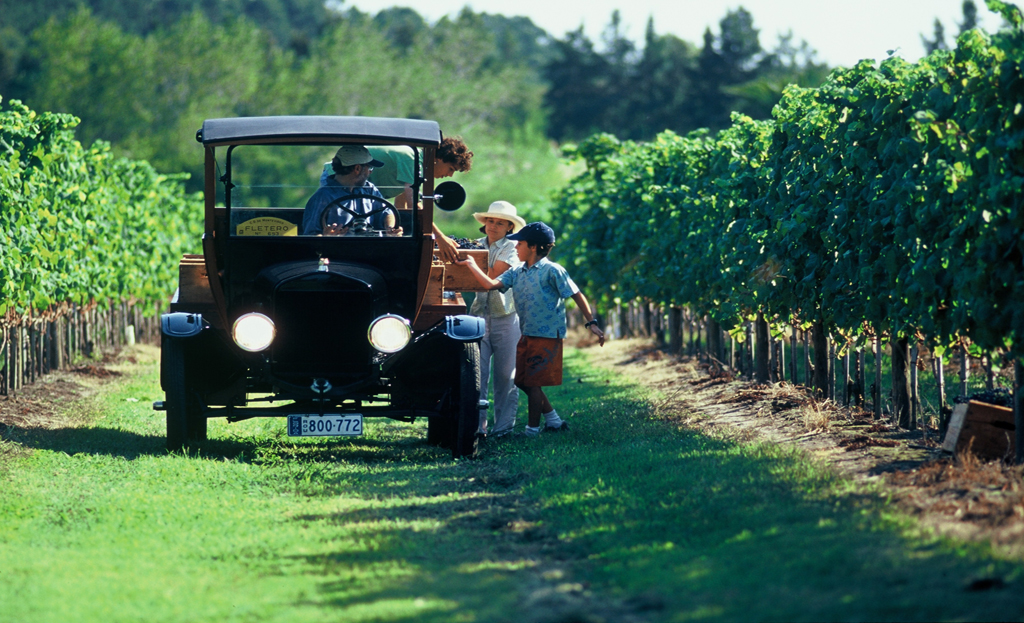 Voiture ancienne et famille dans un vignoble d'Uruguay, entre rangées de vigne