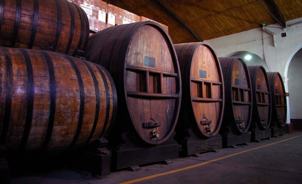 Grands fûts en bois alignés dans un chai de vinification près de Cafayate, Argentine