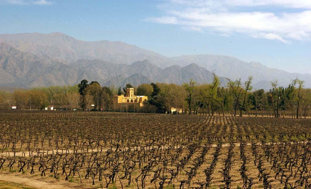 Vignoble en rangs face aux montagnes, bâtisse coloniale jaune entourée d'arbres, région de Salta, Argentine