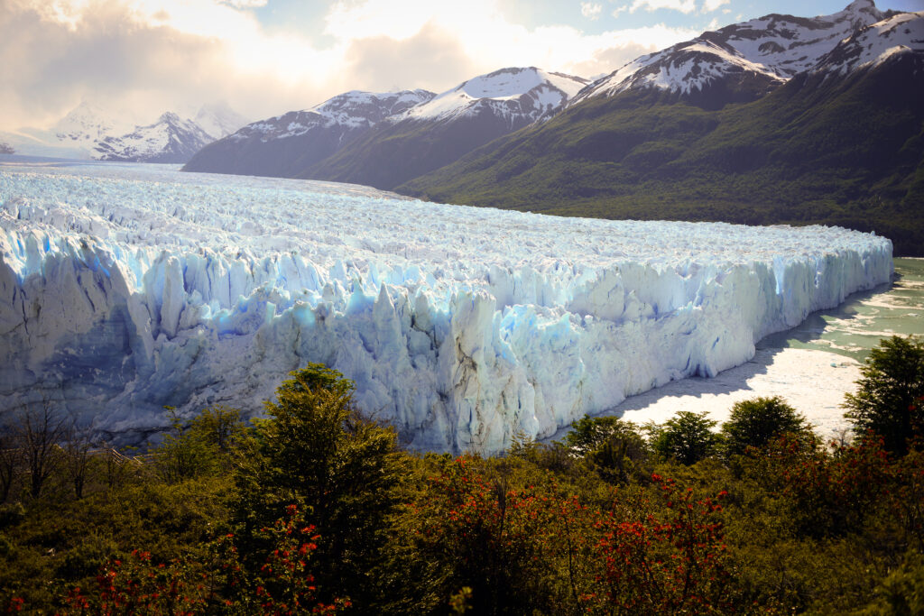 Front de glace bleutée du glacier Perito Moreno surplombant le lac Argentino, Patagonie