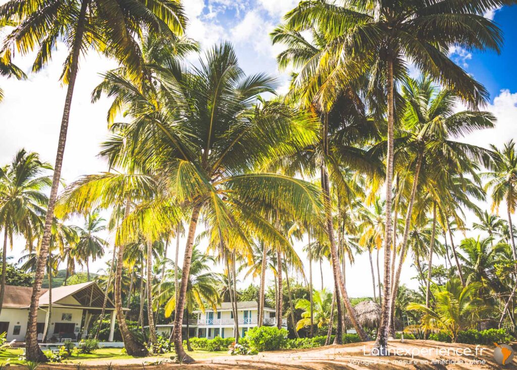 Villas blanches entourées de cocotiers dans un jardin tropical à Las Terrenas, République Dominicaine