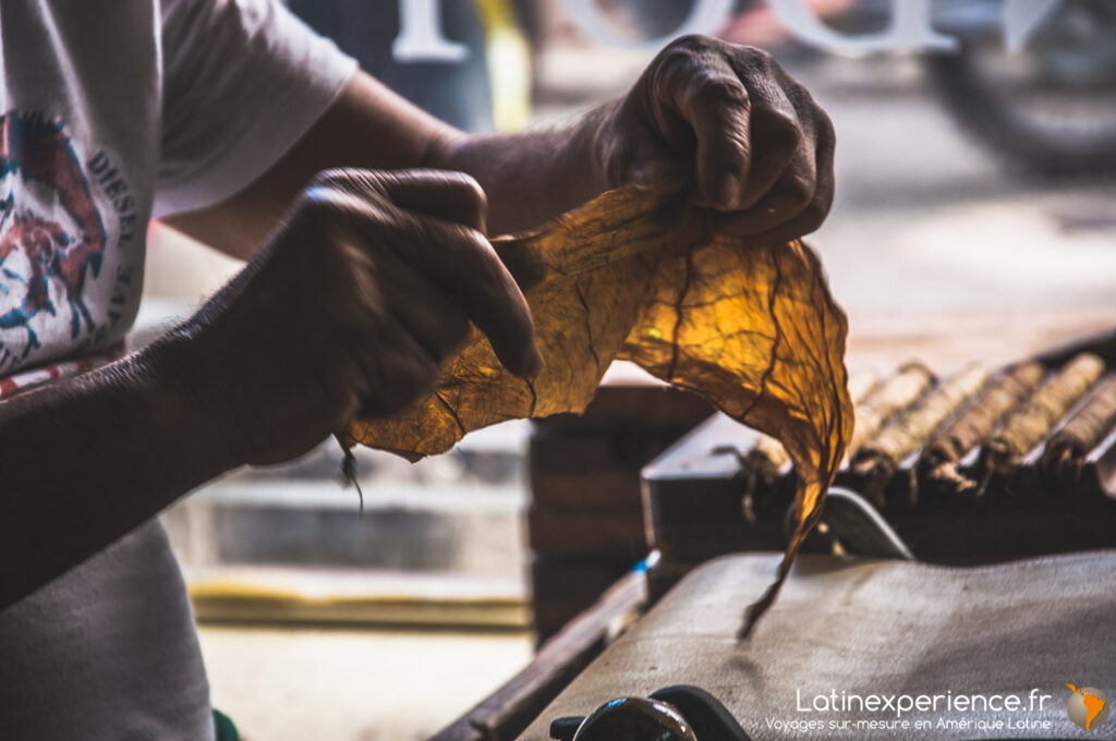 Mains d'un artisan manipulant une feuille de tabac pour fabriquer un cigare en République Dominicaine
