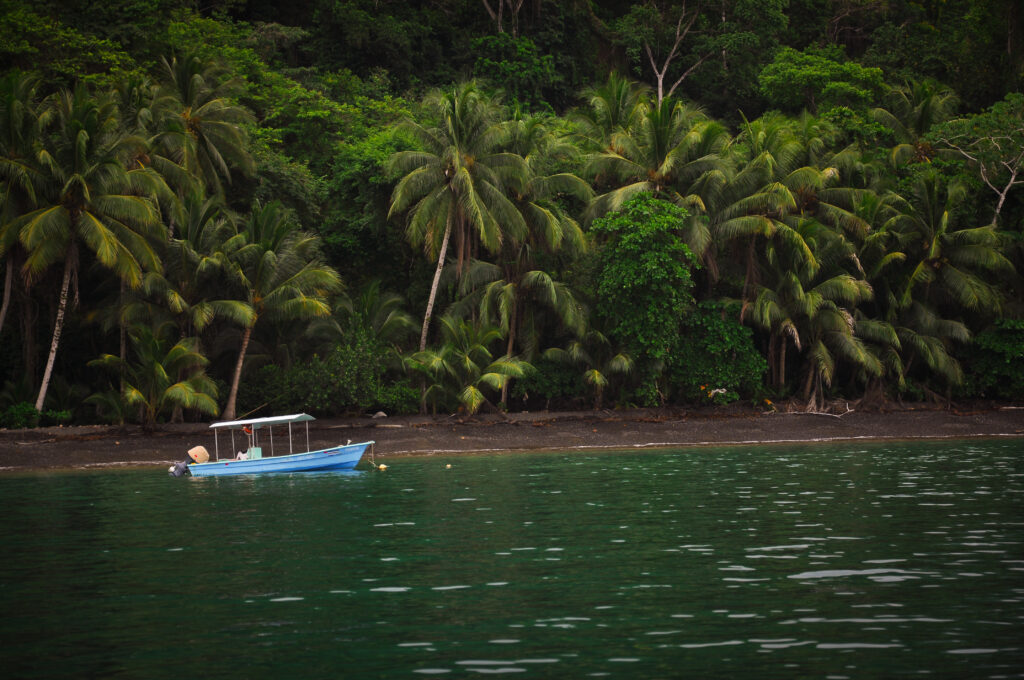Petit bateau bleu à moteur ancré près d'une plage bordée de palmiers, Golfo Dulce, Costa Rica