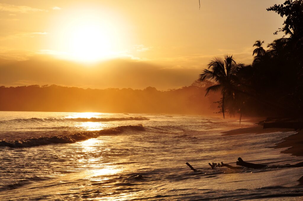 Coucher de soleil doré sur une plage avec palmiers et vagues, côte Caraïbes du Costa Rica