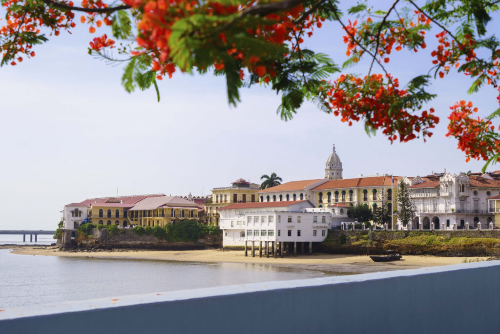 Vue du front de mer de Casco Viejo à Panama City, avec fleurs orange au premier plan