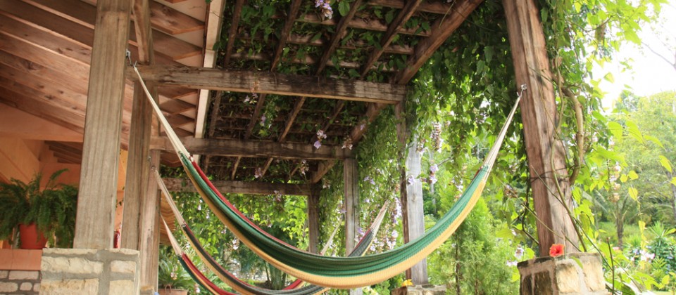 Hamacs colorés suspendus sous une pergola en bois couverte de plantes grimpantes au Honduras