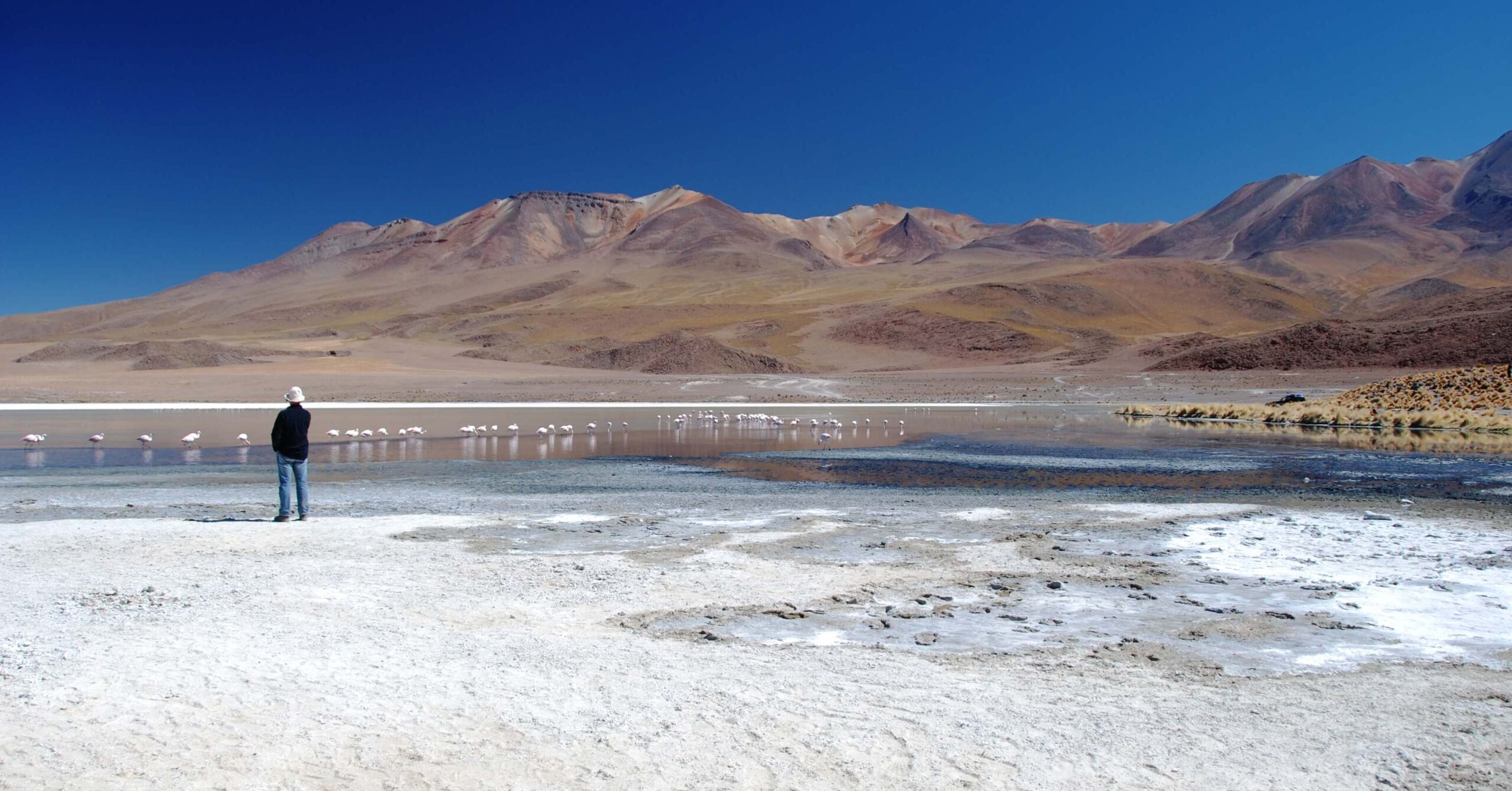 Bolivie - Sud lipez - Lagune