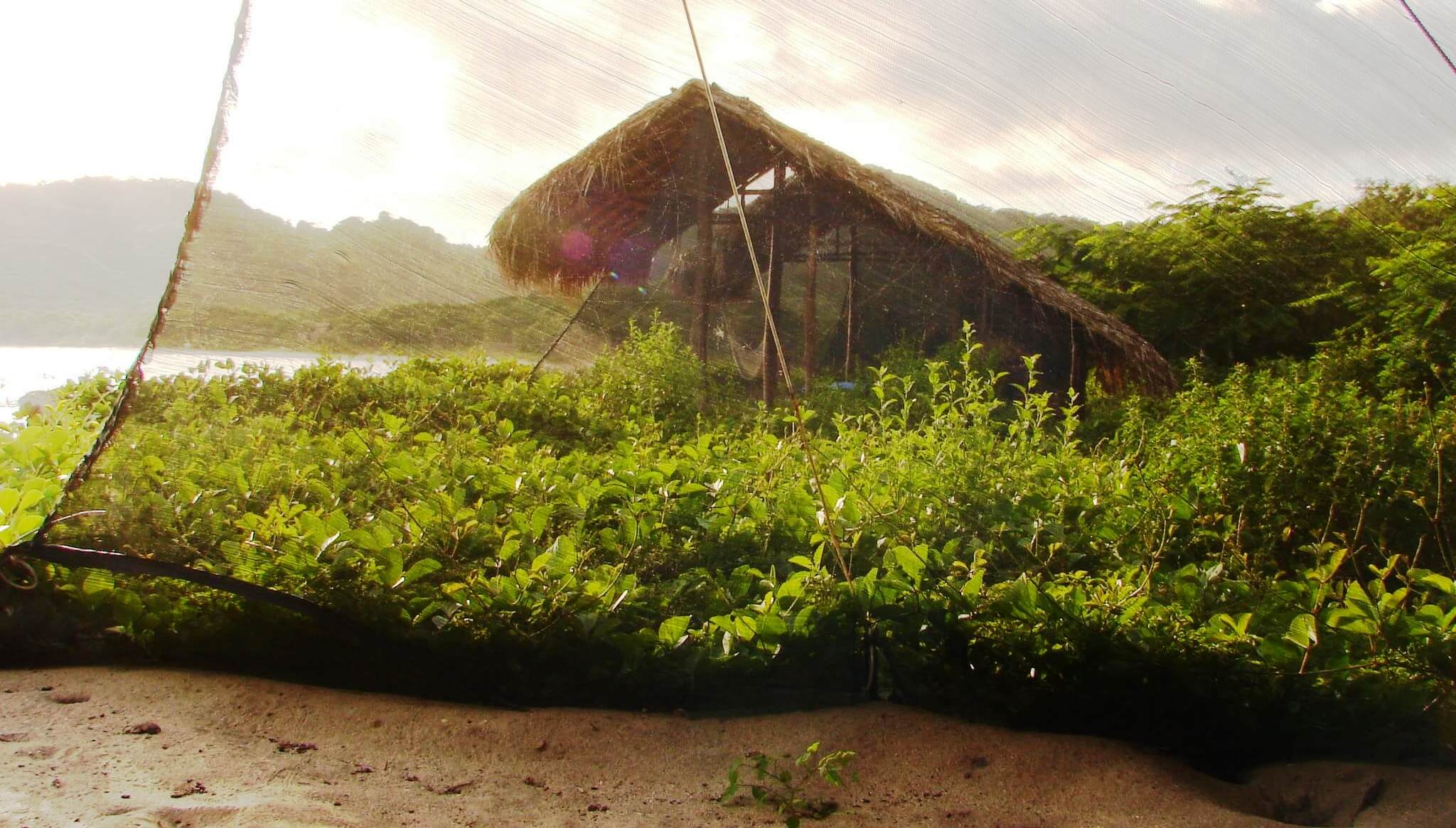 Nicaragua - Morgan's Rock