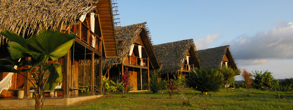 Bungalows en bois à toits de chaume alignés dans un jardin tropical au Costa Rica