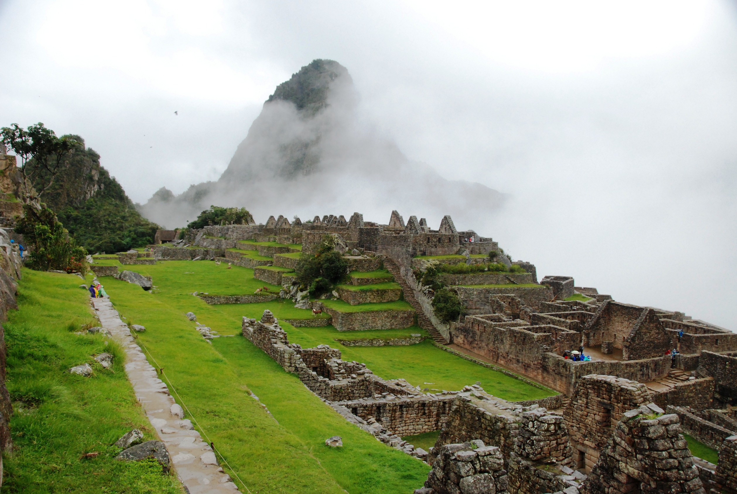 Pérou - Machu Picchu
