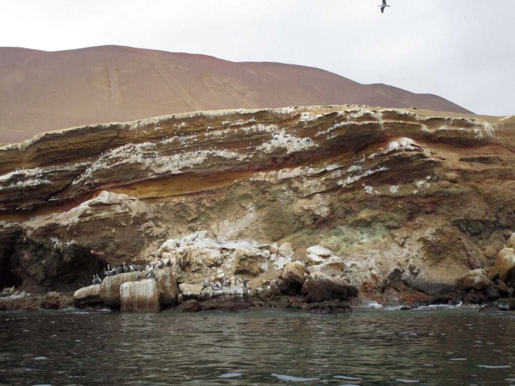 Oiseaux marins colonisant les falaises des îles Ballestas, avec le géoglyphe du Chandelier visible au loin, Pérou
