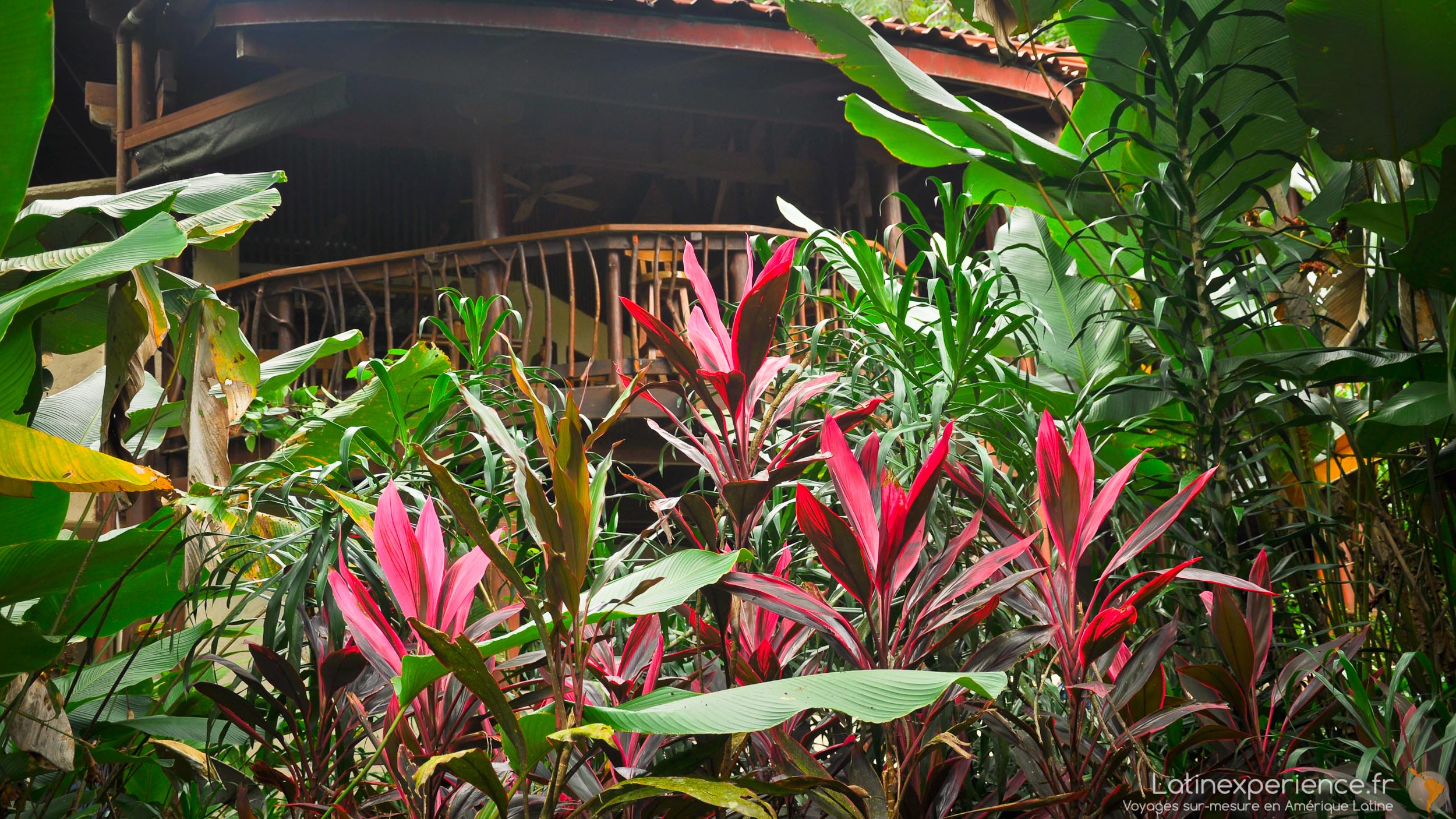 Costa Rica - Golfo Dulce - Playa Nicuesa Raintforest lodge - Latinexperience voyages