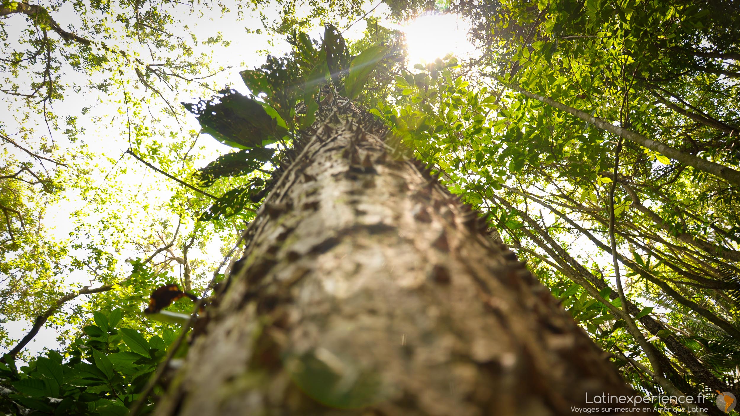 Costa Rica - nature - Latinexperience voyages