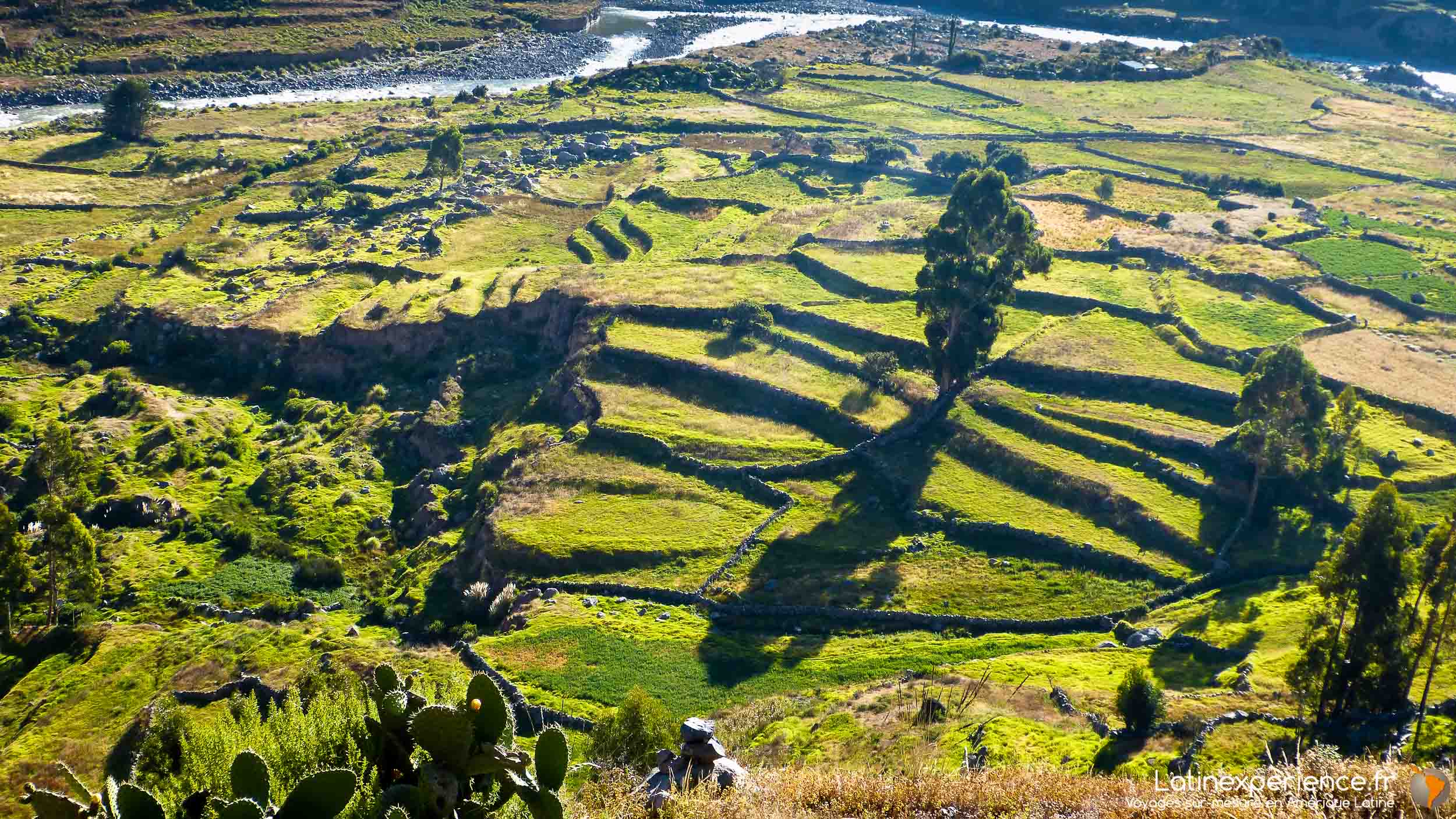 latinexperience voyages - Pérou - Canyon du Colca