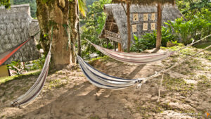 Séjour au Pérou - Puma Rinri lodge - Latinexperience voyages