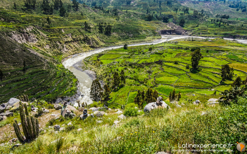 Rivière serpentant entre terrasses agricoles verdoyantes, vallée du canyon du Colca, Pérou
