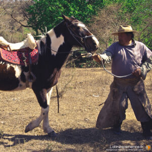 Amérique du Sud - Argentine - Gaucho - Latinexperience voyages