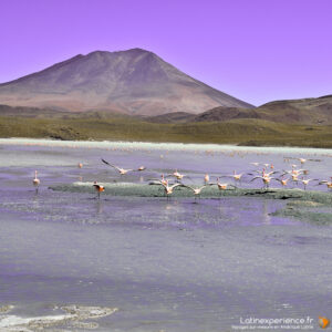 Amérique du Sud - Bolivie -Lagune verte - Latinexperience-voyages