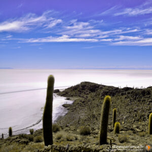 Amérique du Sud - Bolivie - Salar d'Uyuni - Incahasi - Latinexperience voyages