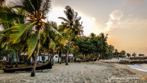 Plage de sable bordée de palmiers au coucher du soleil en Colombie