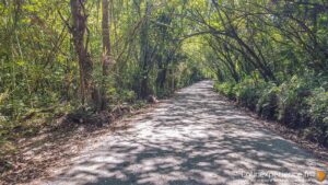 costa Rica - Parc Sauvage du Corcovado - Latinexperience voyag