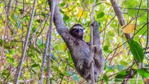 costa Rica - Punta Uva - Latinexperience voyages