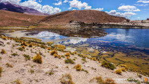 Lagune d'altitude avec reflets de nuages dans l'Altiplano bolivien