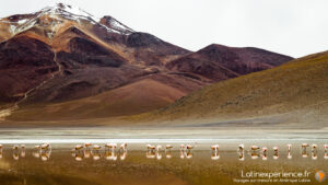 Bolivie - road trip - Désert Sud Lipez - Latinexperience voyage
