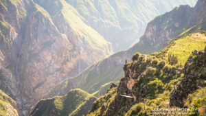 Route sinueuse traversant un canyon verdoyant dans les Andes péruviennes