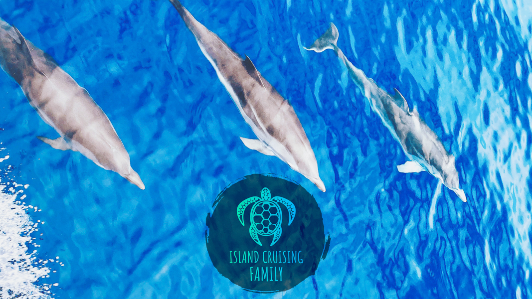IslandCrusingFamily - Voilier - Latinexperience voyage