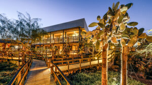 Lodge moderne avec terrasses en bois et cactus illuminés au crépuscule