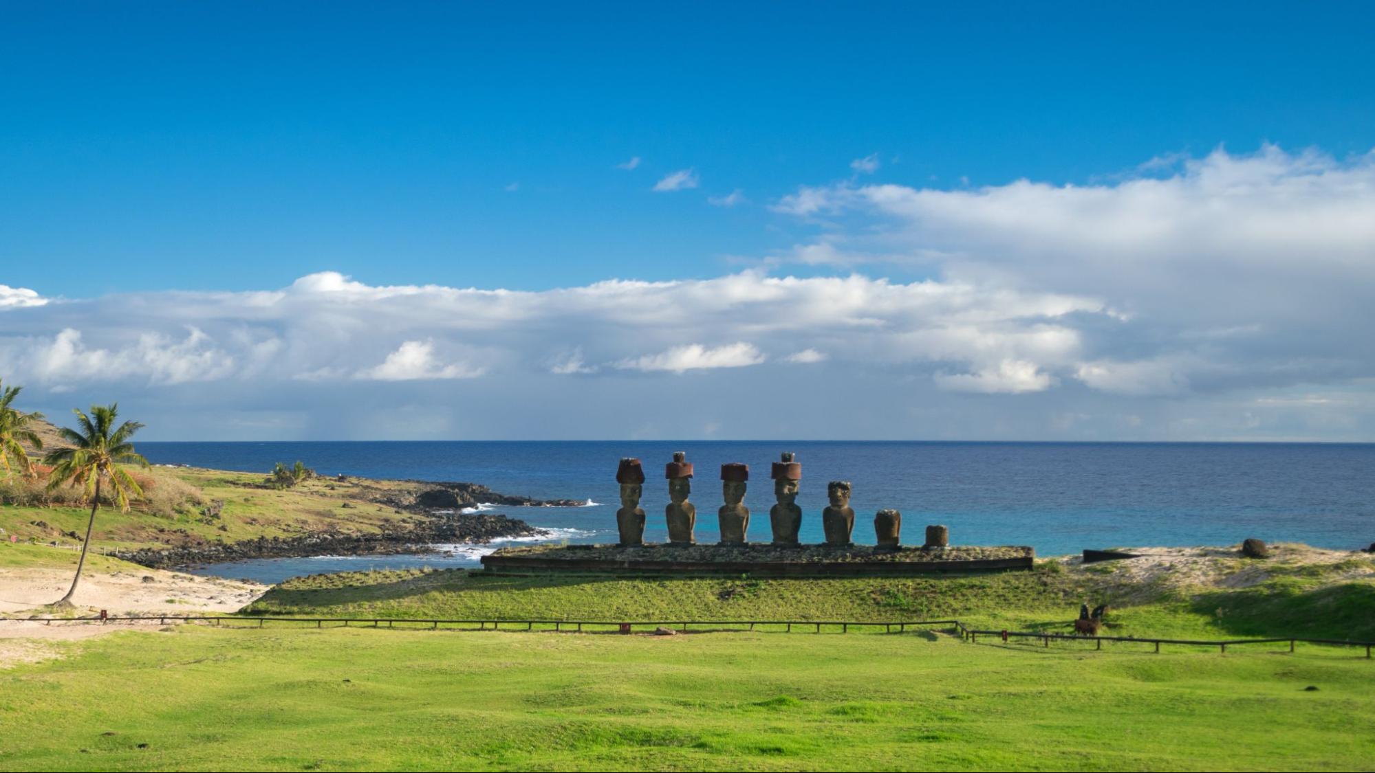 Statues moaï alignées face à l'océan sur l'île de Pâques, prairie verdoyante