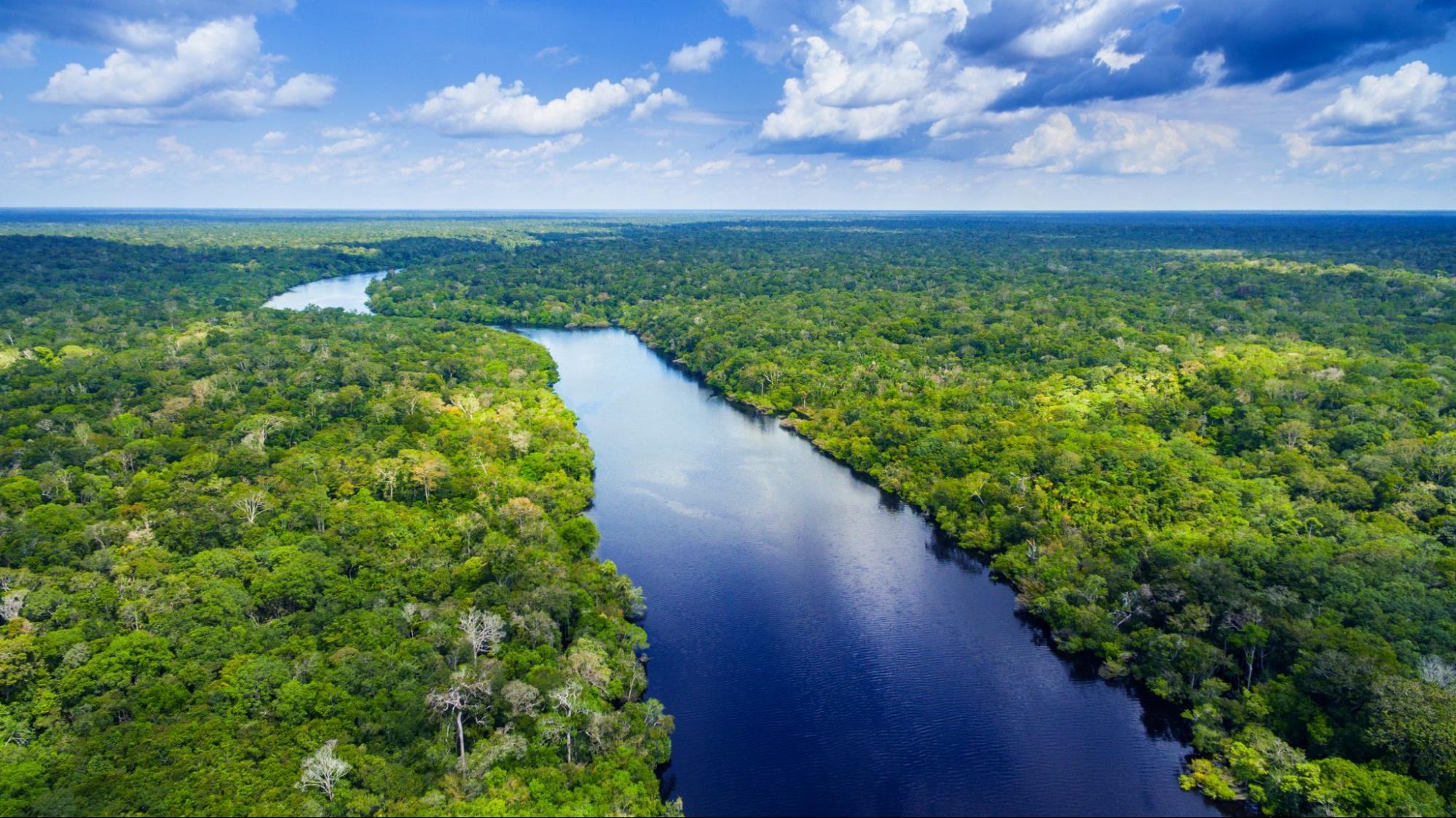 Vue aérienne d'une rivière serpentant à travers la forêt tropicale amazonienne dense
