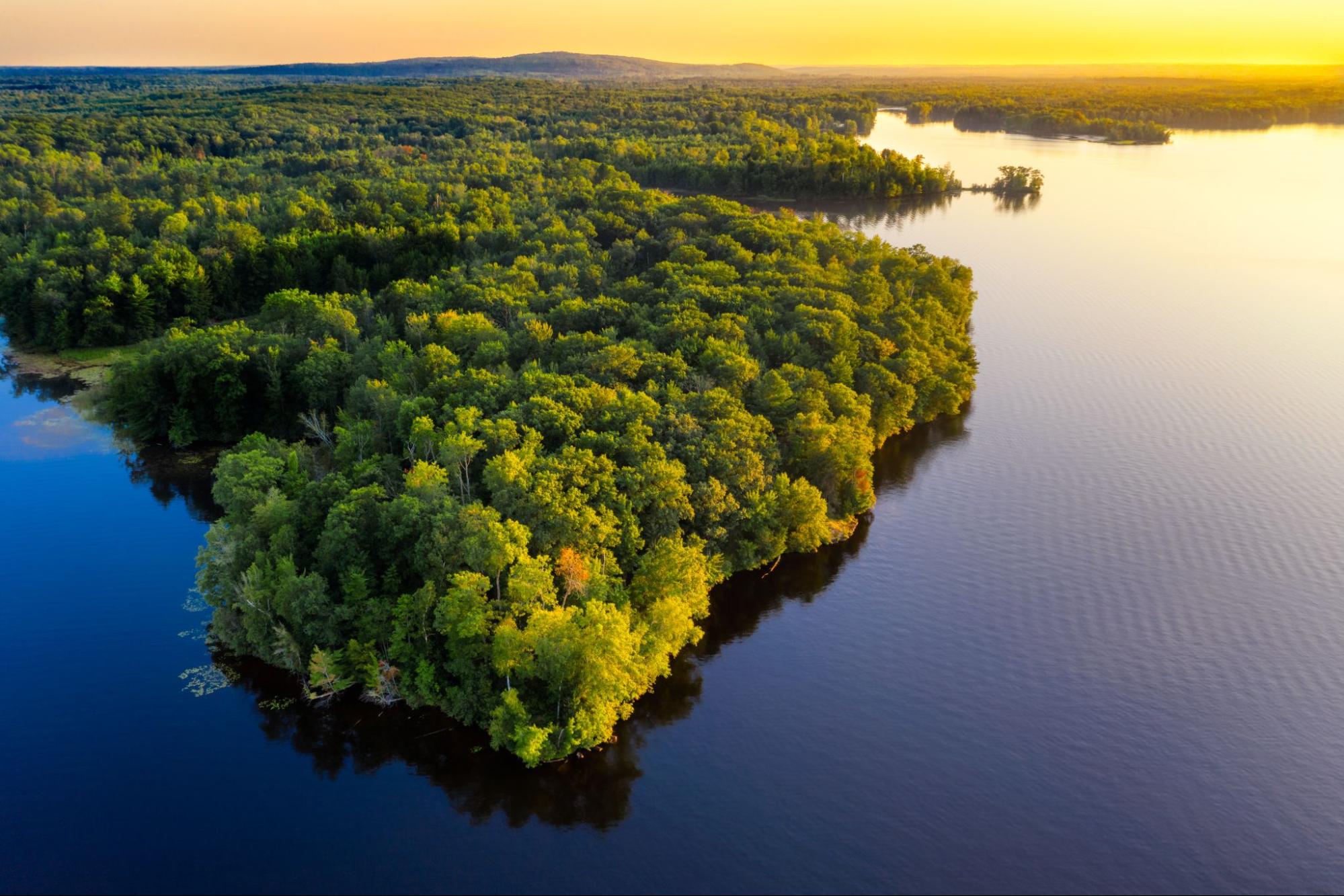 que faire en amazonie