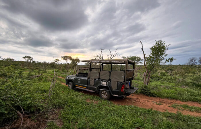 Voyage Afrique du Sud - 4X4 safari parc Kruger