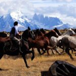 Circuit Chili et île de Pâques – Patagonie Chilienne ou Argentine ? Les deux ! – Latinexperience