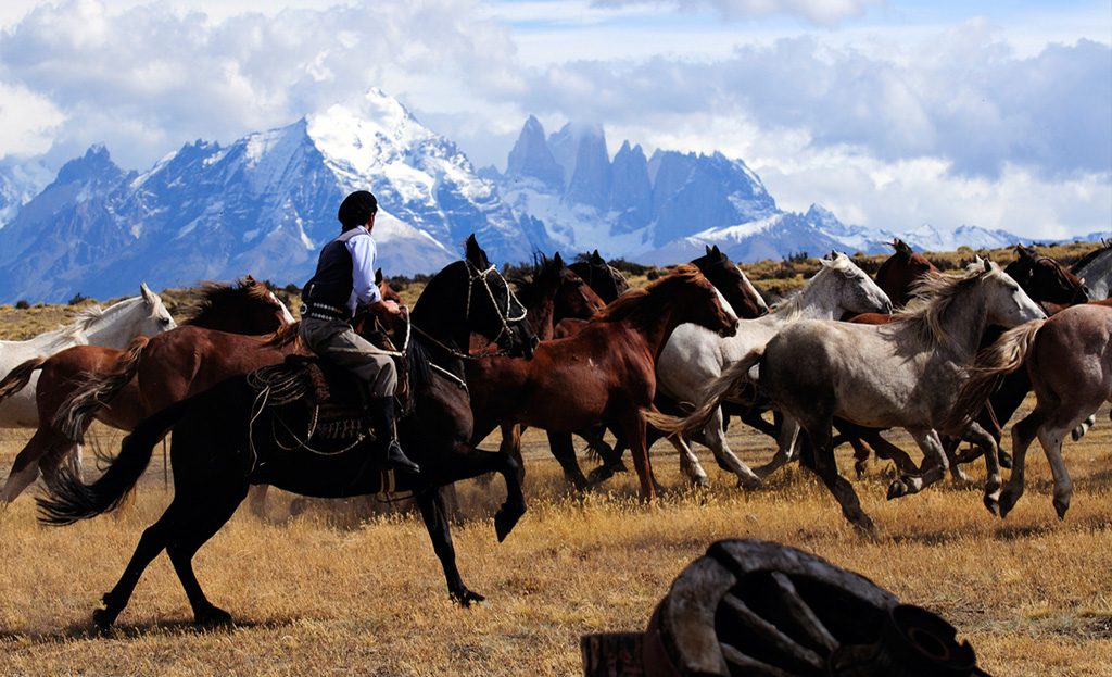 Circuit Chili et île de Pâques – Patagonie Chilienne ou Argentine ? Les deux ! – Latinexperience