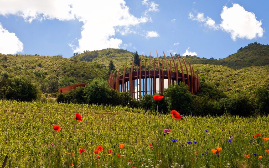 Bâtiment ovale en bois entouré de vignes et coquelicots dans la vallée de Colchagua, Chili