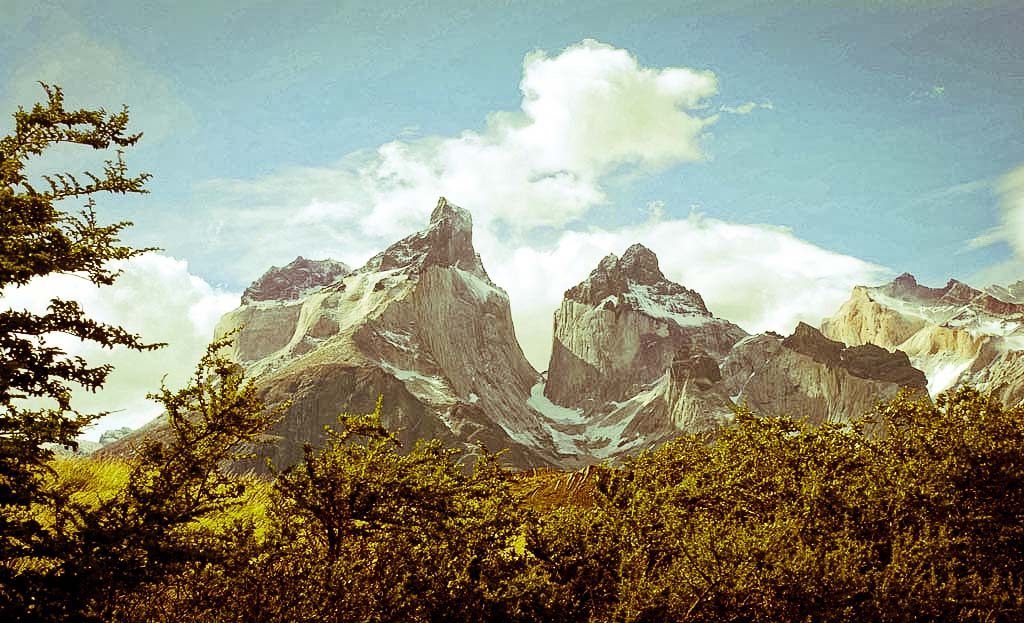 Sommets rocheux escarpés du parc Torres del Paine entourés de végétation, Patagonie chilienne