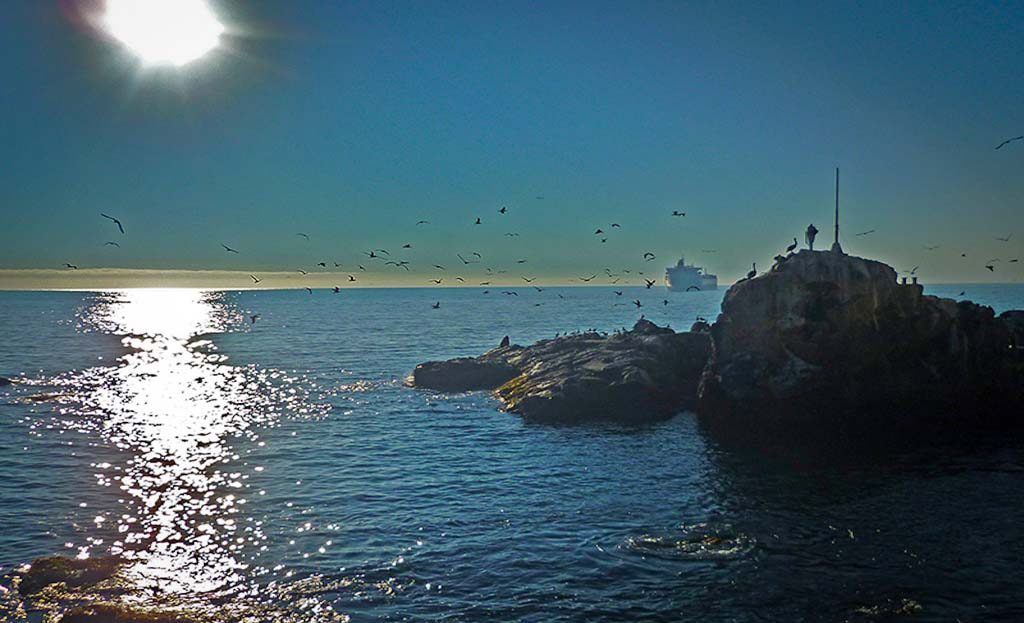 Rochers côtiers avec oiseaux marins et bateau au loin sur l'océan près de Viña del Mar, Chili